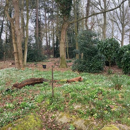 Woodland Retreat, Market Lane, Blundeston, Lowestoft ภายนอก รูปภาพ
