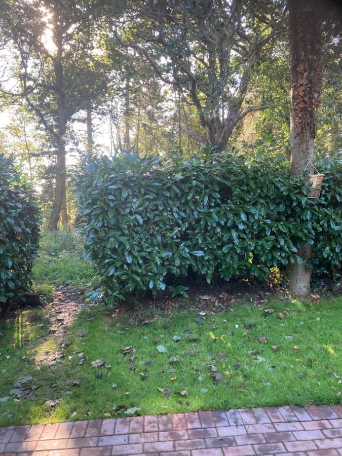 Woodland Retreat, Market Lane, Blundeston, Lowestoft ภายนอก รูปภาพ