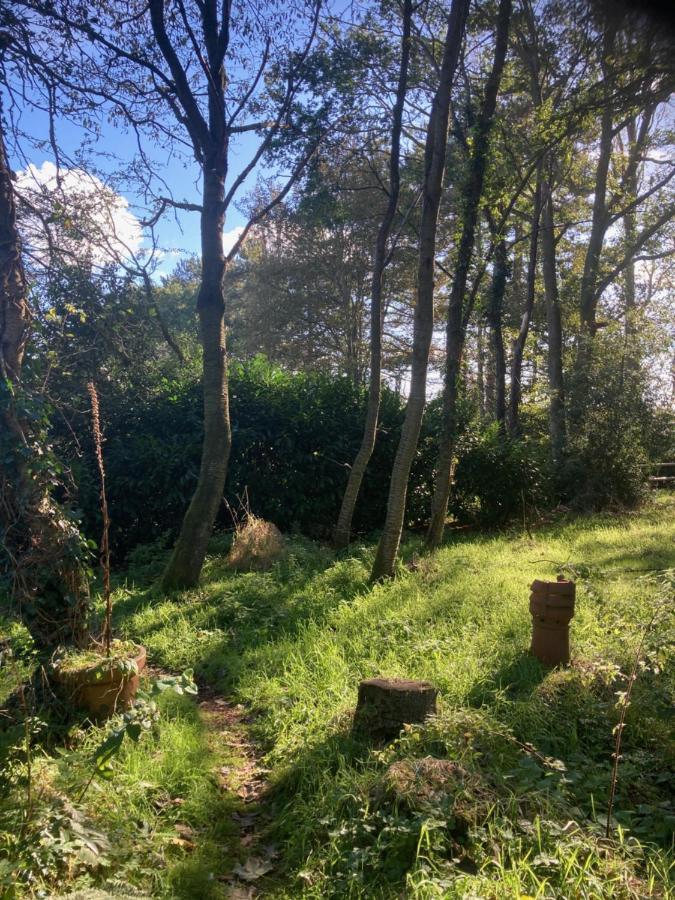 Woodland Retreat, Market Lane, Blundeston, Lowestoft ภายนอก รูปภาพ