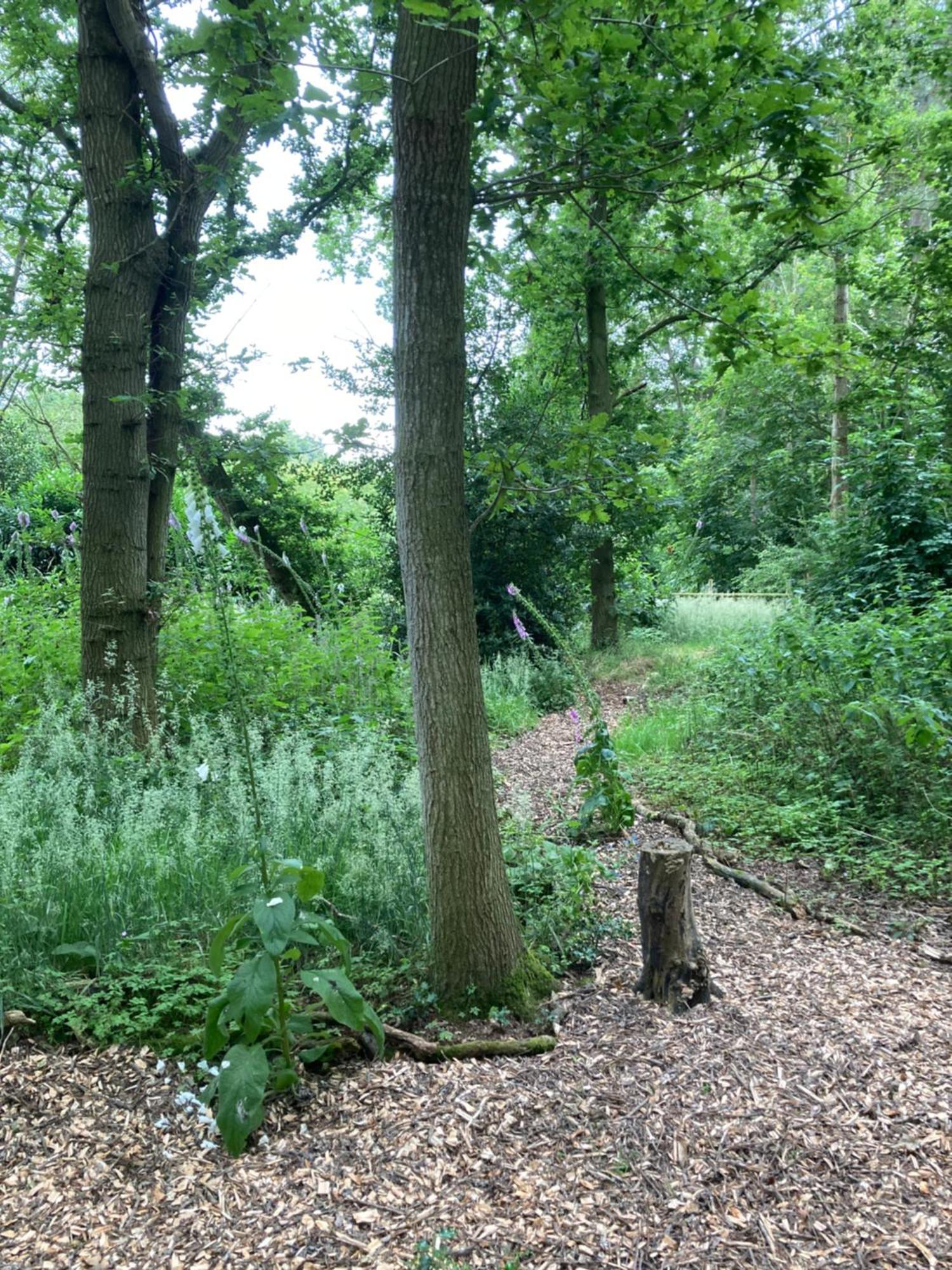 Woodland Retreat, Market Lane, Blundeston, Lowestoft ภายนอก รูปภาพ
