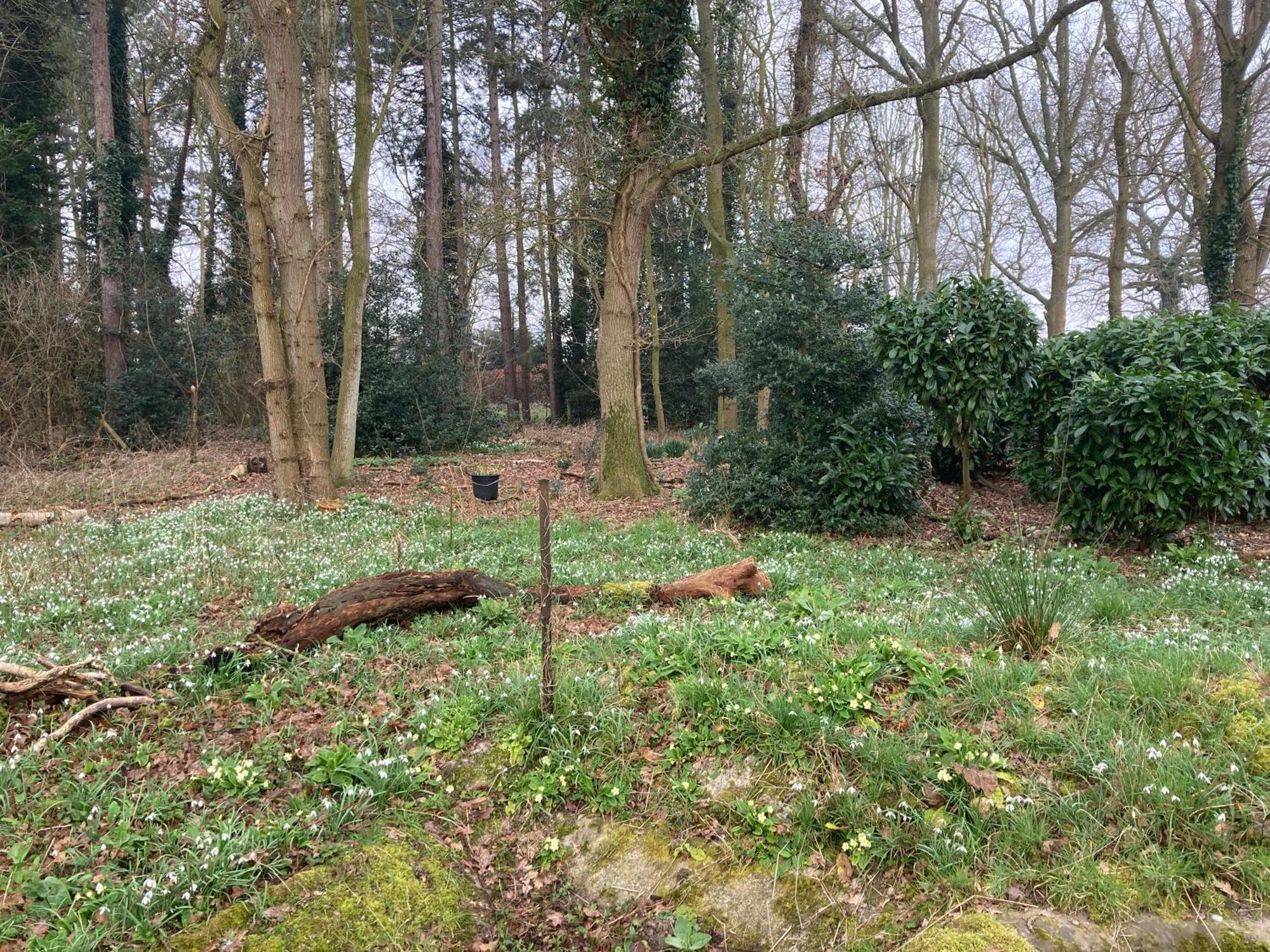 Woodland Retreat, Market Lane, Blundeston, Lowestoft ภายนอก รูปภาพ